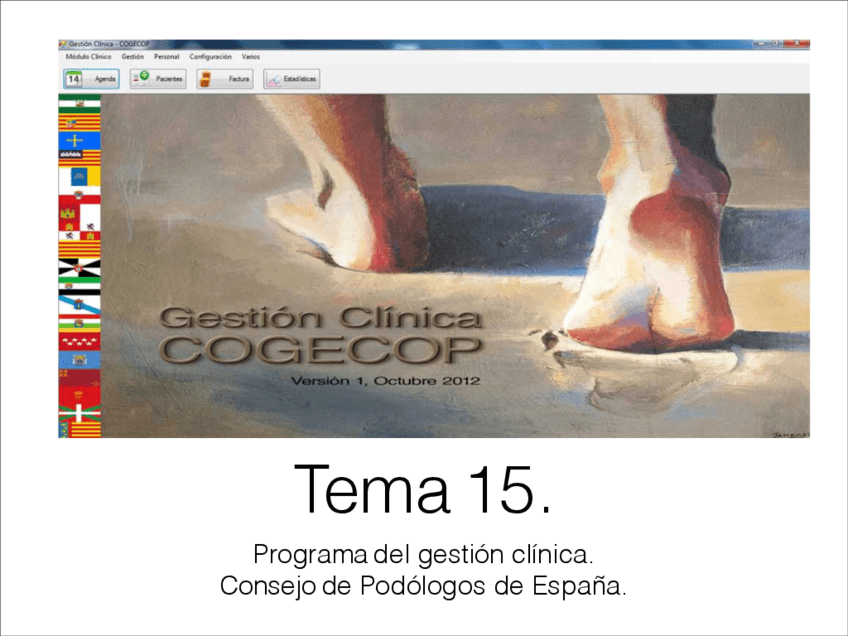 Tema-15-Programa-del-colegio-de-podologos-Archivo.pdf
