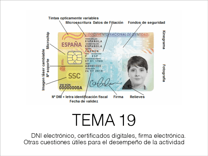 Tema-19-DNI.pdf