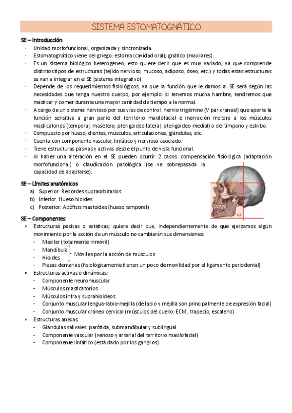 Sistema-Estomatognatico.pdf