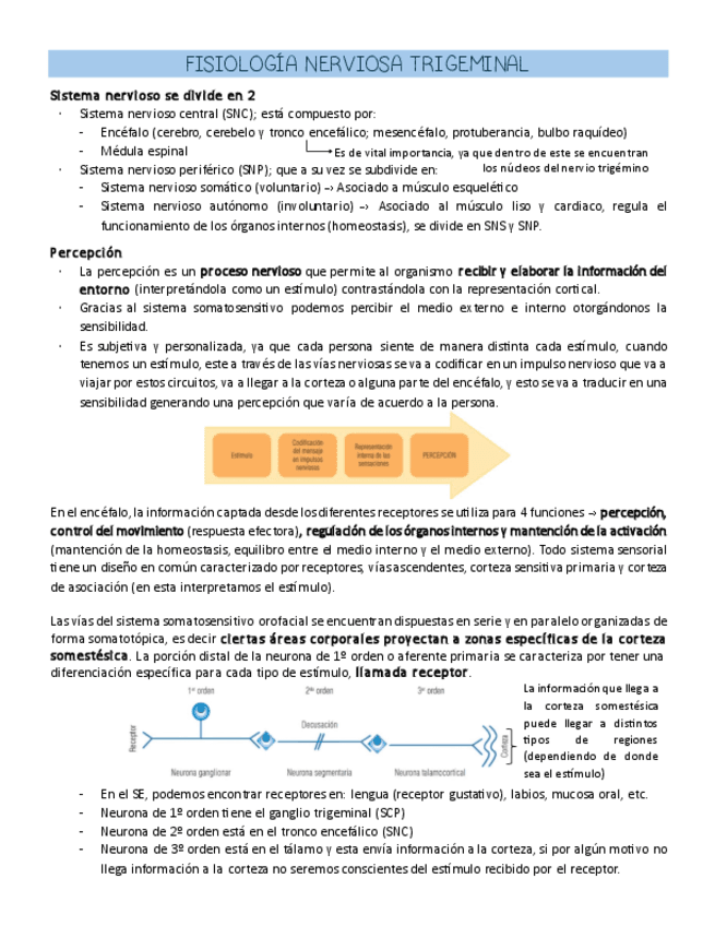 Fisiologia-Nerviosa-Trigeminal.pdf