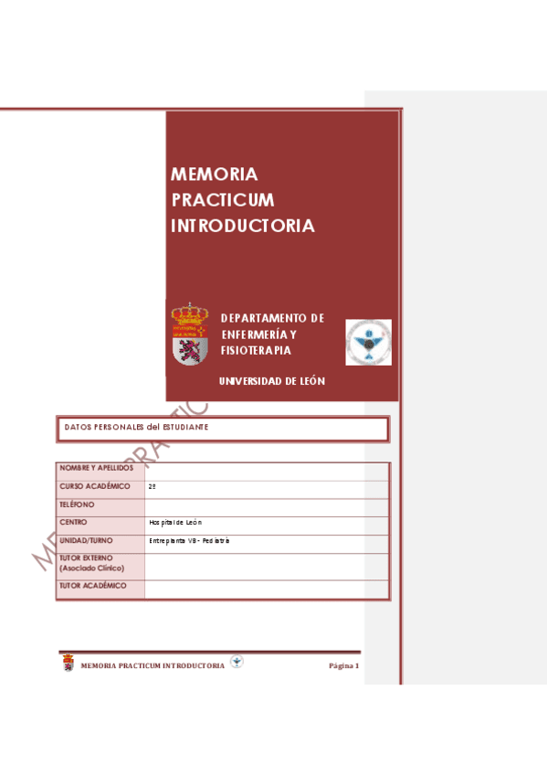 memoria-practicum-introductoria.pdf