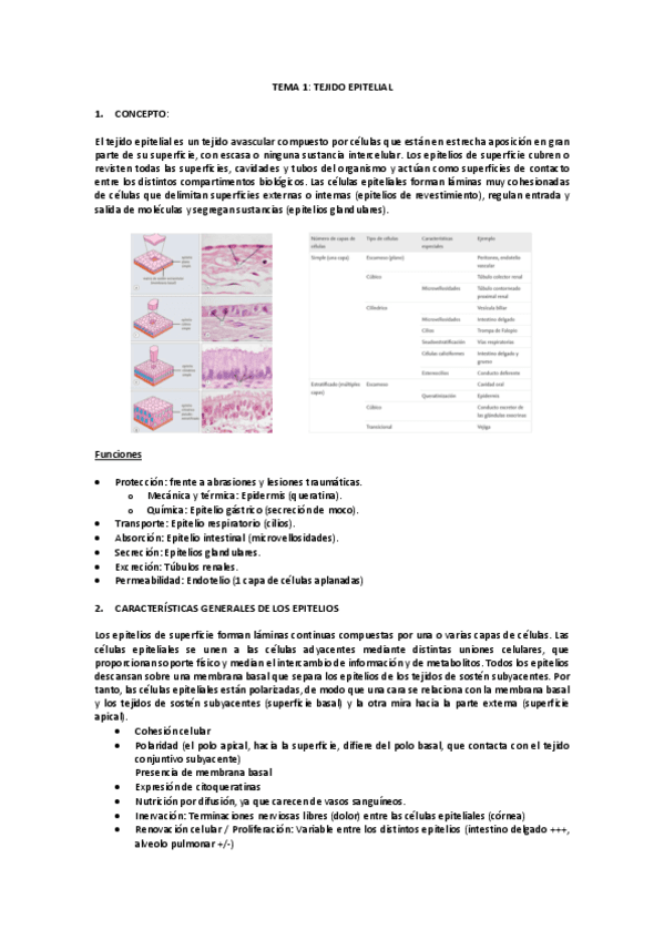Histologia-Apuntes.pdf