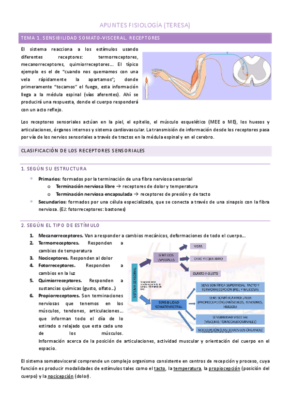 SENSIBILIDAD-SOMATO-VISCERAL.-RECEPTORES-TERESA.pdf