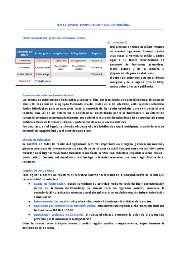 TEMA-8-LIPIDOS-LIPOPROTEINAS-Y-APOLIPOPROTEINAS.pdf