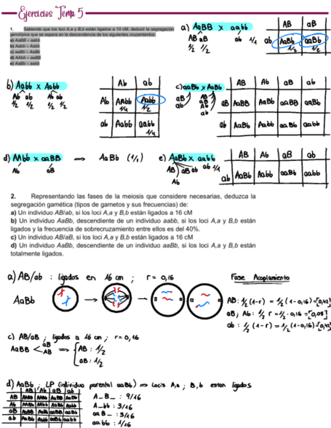 Problemas-Tema-5.pdf