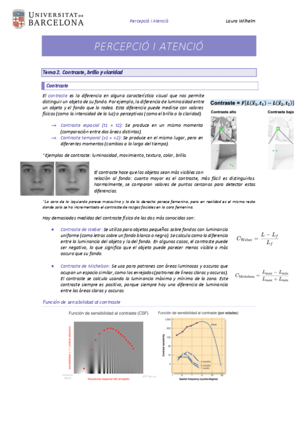 Tema-2-Contraste-brillo-y-claridad.pdf