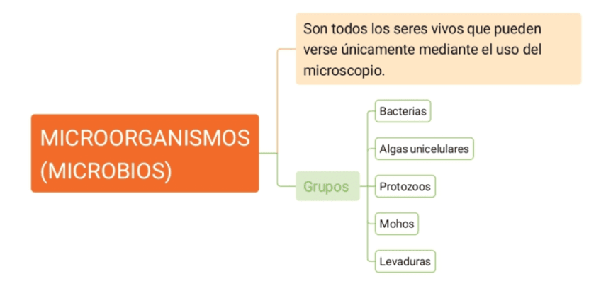 BIOLOGIA-1ESO-TEMA-MICROORGANISMOS.pdf