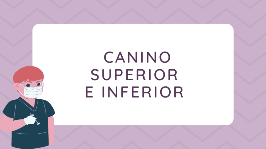 Canino-Sup-Inf.pdf.pdf