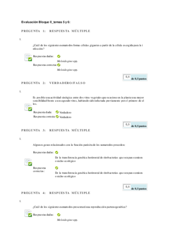 Evaluación Bloque II_temas 5 y 6.pdf