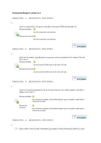 Evaluación Bloque II_temas 3 y 4.pdf