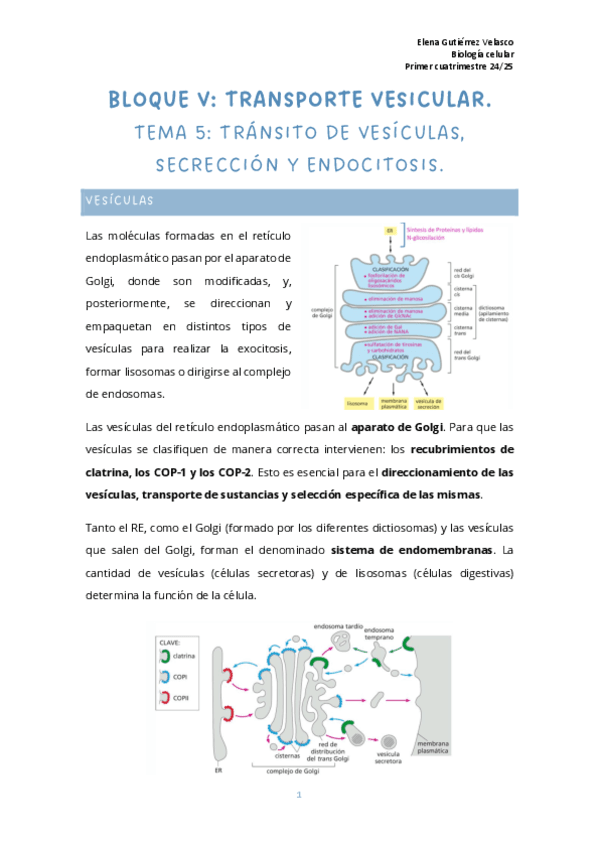 tema-5-transito-de-vesiculas-secreccion-y-endocitosis.pdf