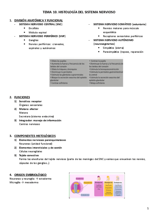T10.-Histologia.pdf