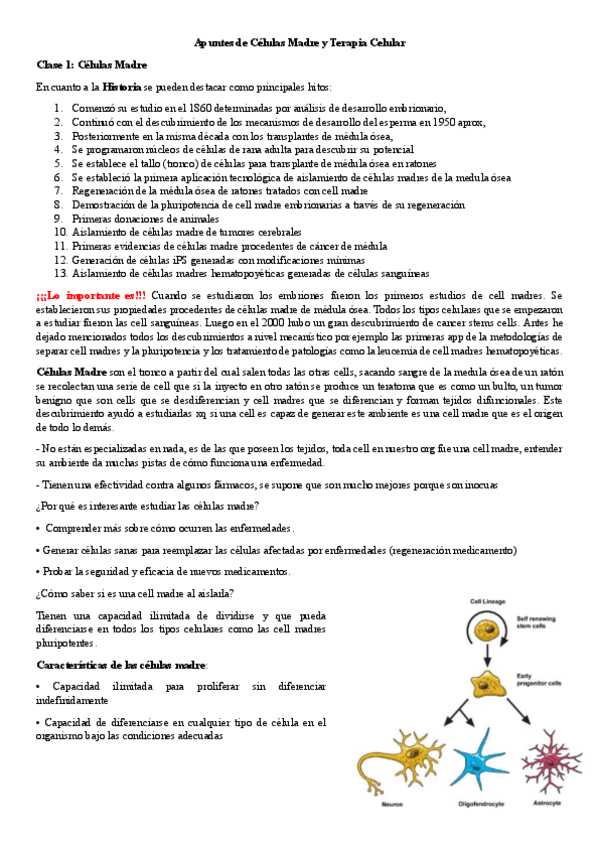 Apuntes-de-Celulas-Madre-y-Terapia-Celular-Ailenis.pdf