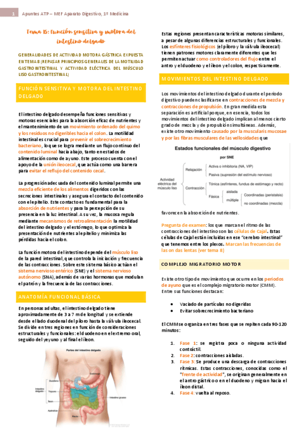 tema-15-ap-digest-fisio.pdf