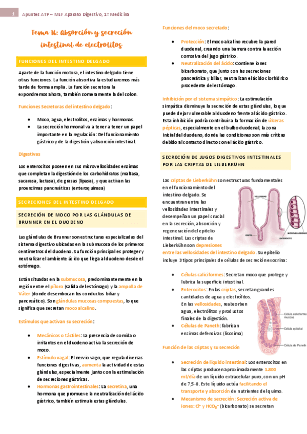 tema-16-ap-digest-fisio.pdf