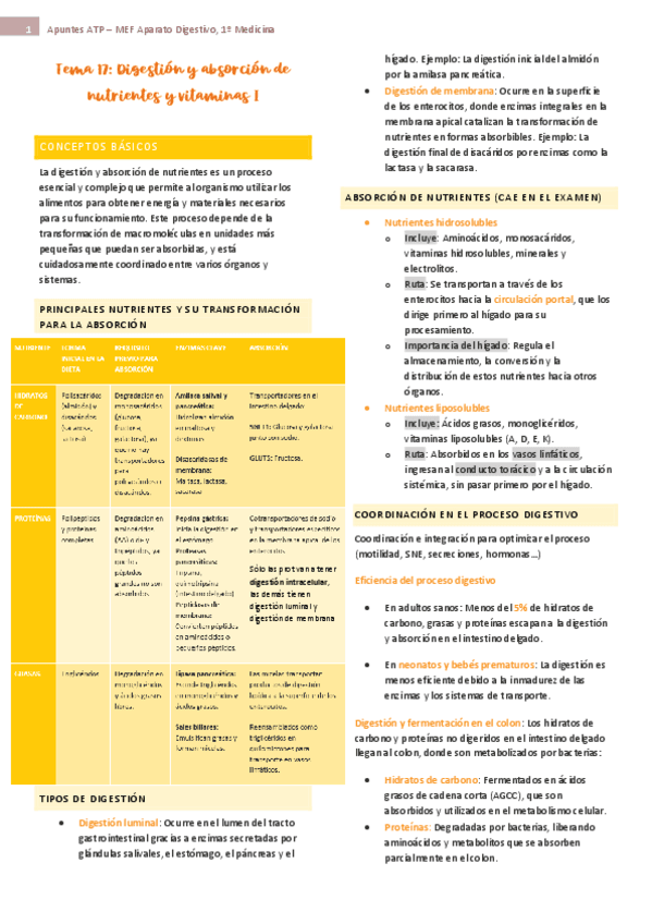 tema-17-ap-digest-fisio.pdf