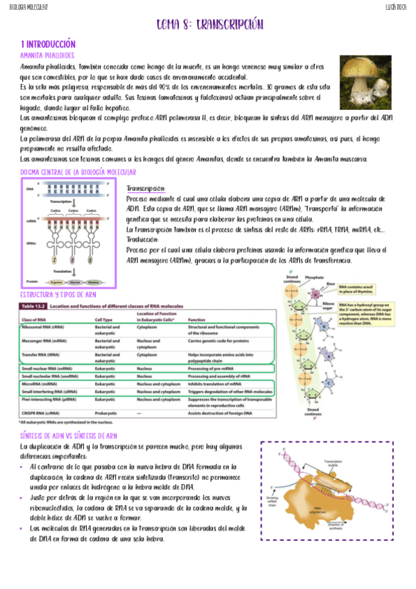tema-8-biologia-molecular.pdf
