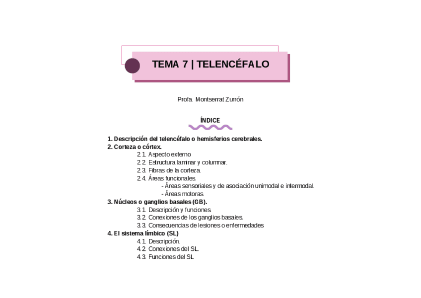 TEMA-7-TELENCEFALO.pdf