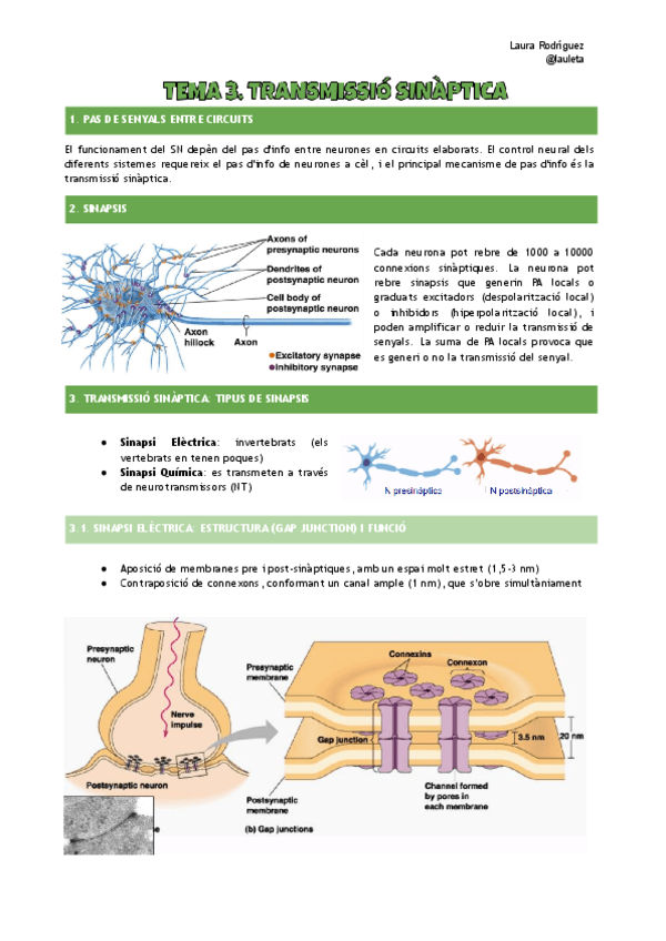 Apunts-tema-3-FCH-I.pdf
