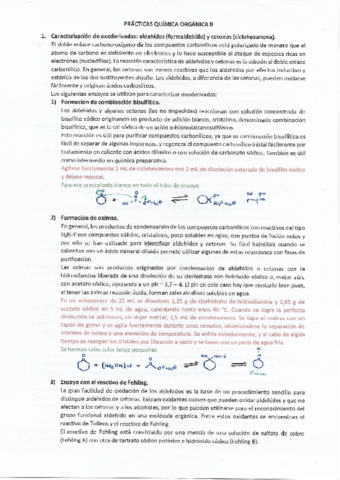 Prácticas Orgánica II. Resumen + Preguntas + Resultados.pdf