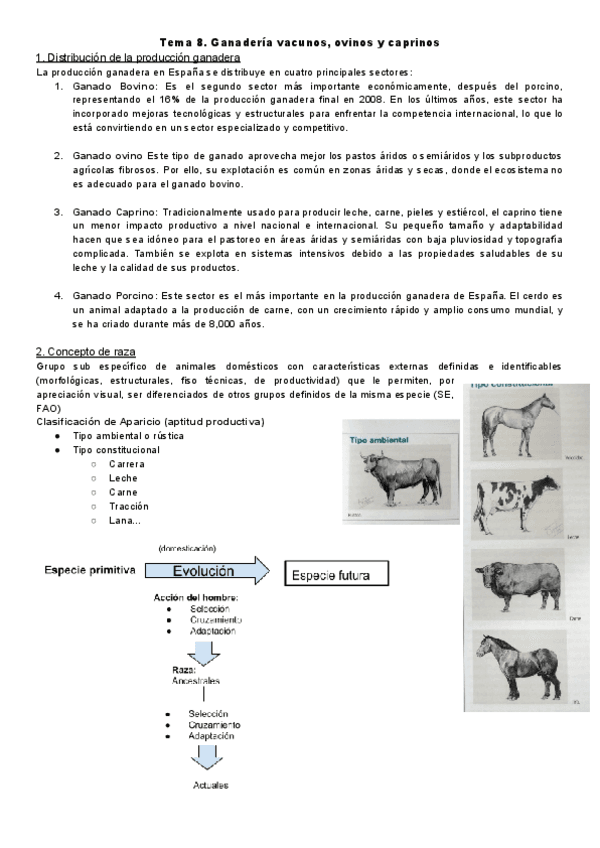 O.A-tema-8.-Ganaderia-vacunos-ovinos-y-caprinos.pdf