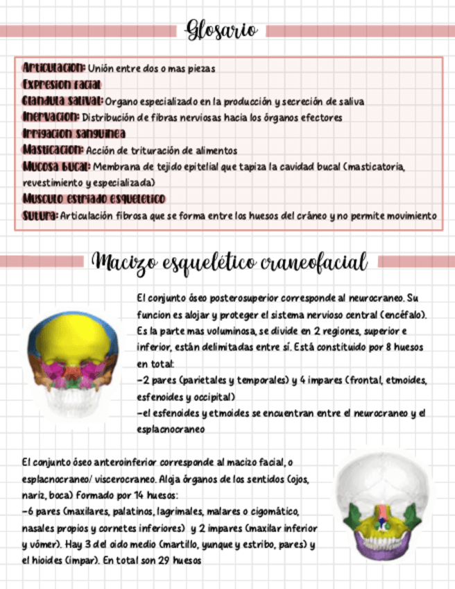 Cavidad-bucal-Anatomia-de-la-cabeza-miologia-y-angiologia.pdf