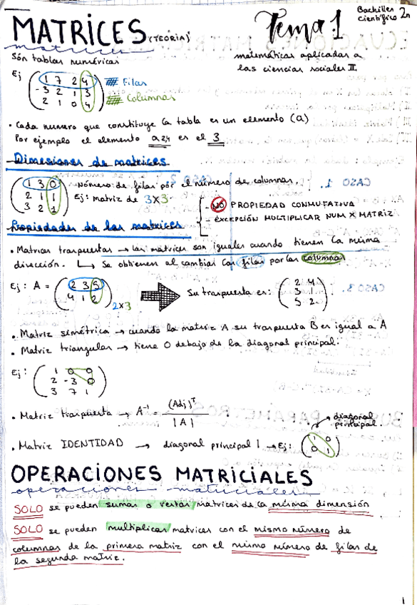 matrices-mates-social-resumen.pdf