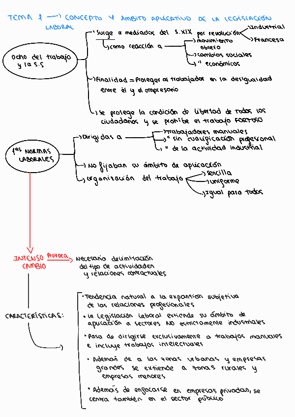 ESQUEMA-TEMA-1-DCHO-TRABAJO.pdf