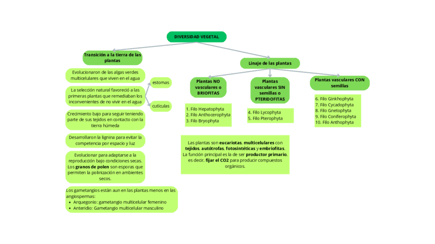 esquema-tema-6-5.pdf