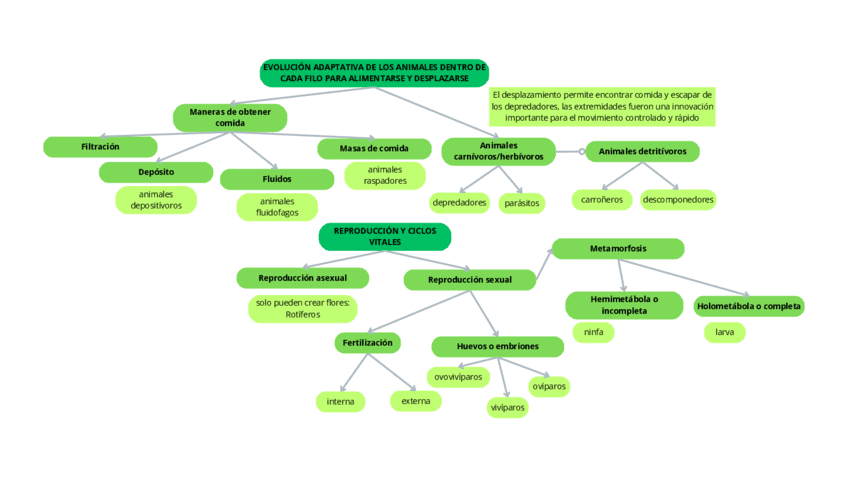 esquema-tema-6-7.pdf