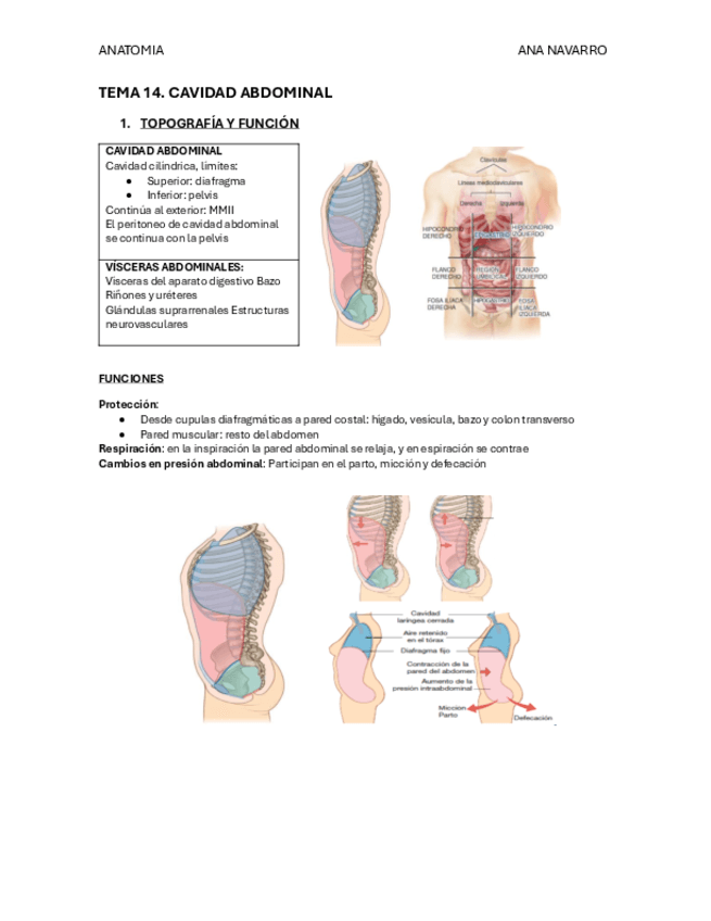 TEMA-14-CAVIDAD-ABDOMINAL.pdf