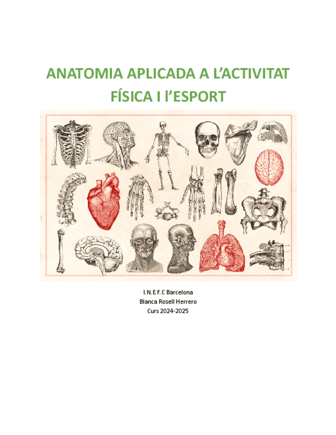 parcial-anatomia.pdf