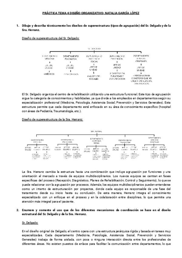 Practica-Diseno-Organizativo-Tema-4.pdf