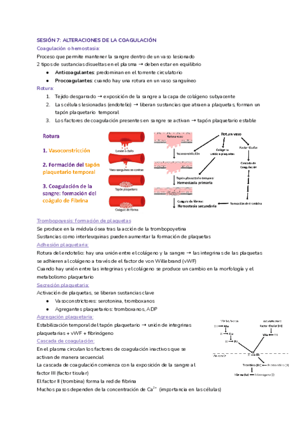 Sesion-7-Fisiopato-Miguel.pdf