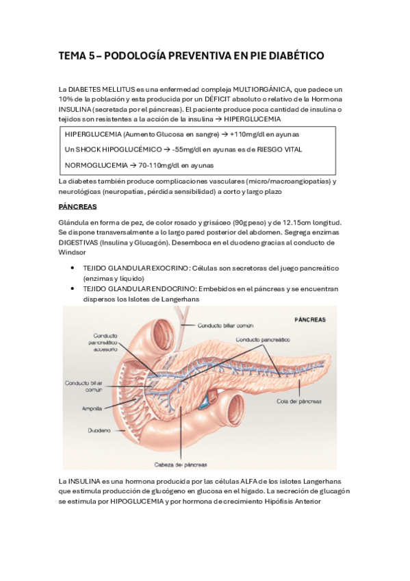 PODOLOGIA-PREVENTIVA-TEMA-5.pdf