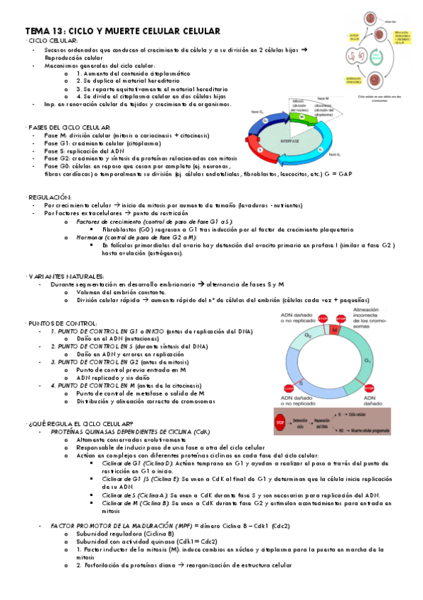 Tema-13.pdf
