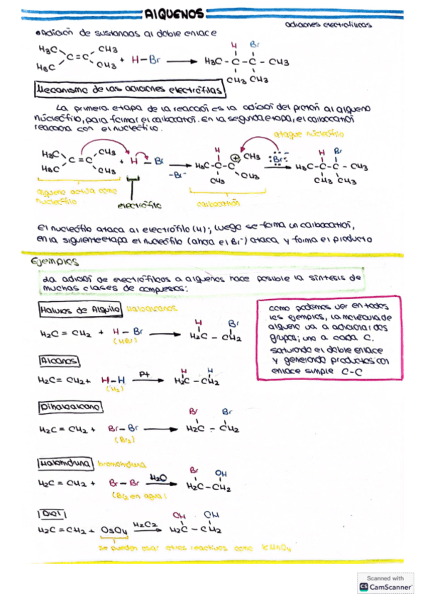 reactividad-alquenos.pdf