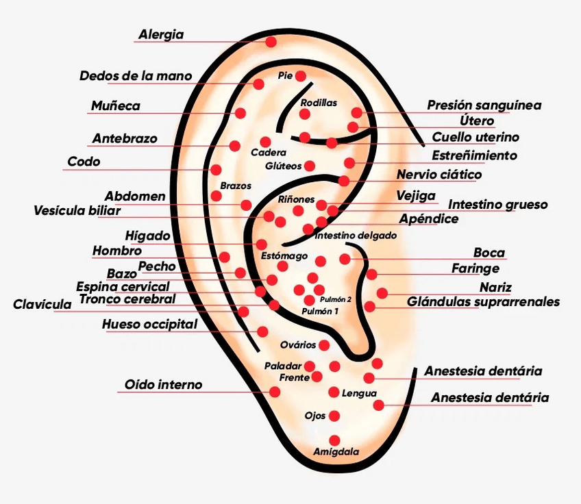 auriculoterapia22001.pdf