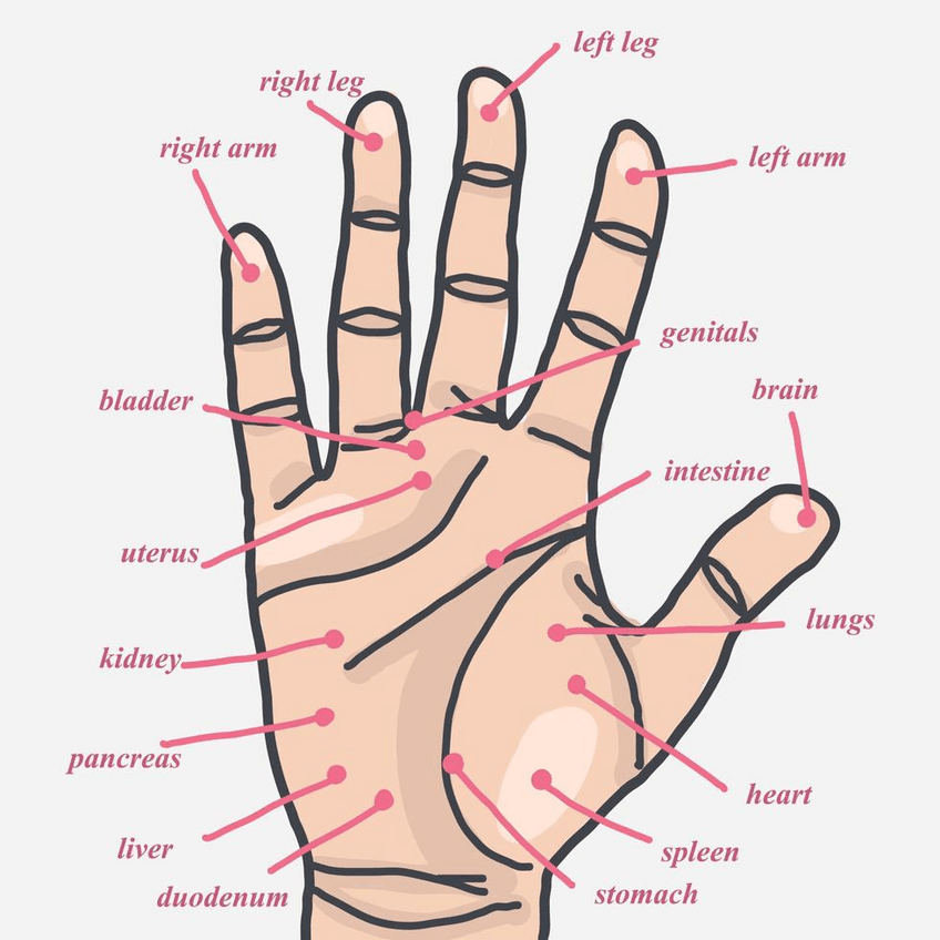 hand-acupuncture-points-vector.pdf