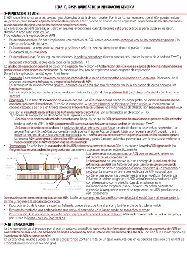 TEMA-13.-Resumen.pdf