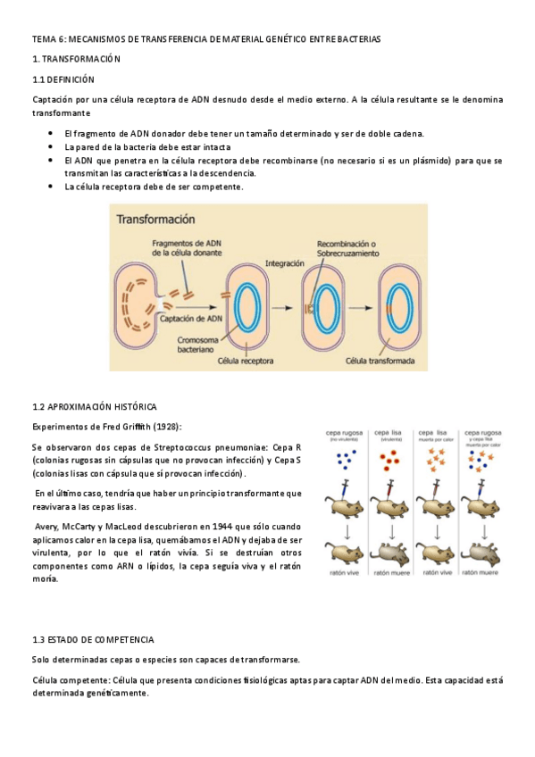 TEMA-6.-MECANISMOS-DE-TRANSFERENCIA-DE-MATERIAL-GENETICO-ENTRE ...