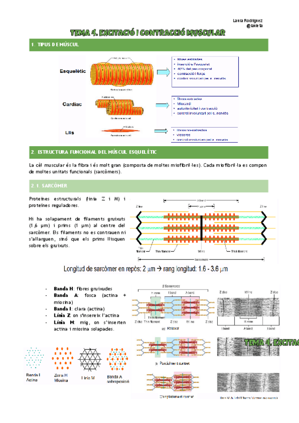 Apunts-tema-4-FCH-I.pdf