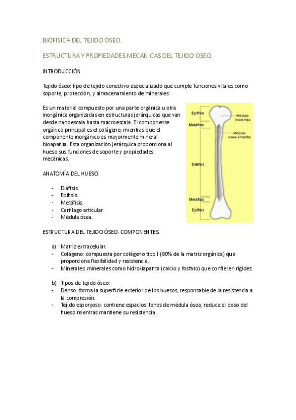 BIOFISICA-DEL-TEJIDO-OSEO.pdf