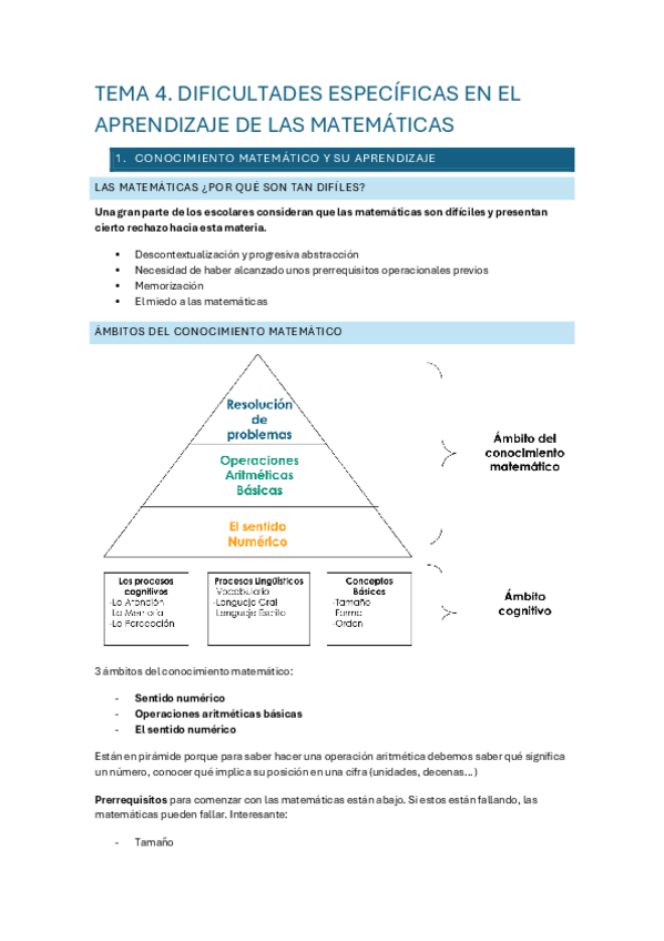 Tema-6.-Dificultades-Especificas-en-el-Aprendizaje-de-las-Matematicas.pdf