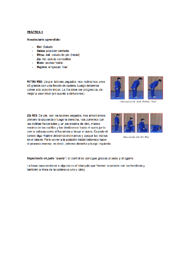 DIARIO-DE-PRACTICAS-JUDO-2024.pdf