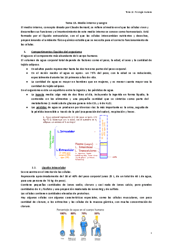 Tema-13.-Medio-interno-y-sangre.pdf