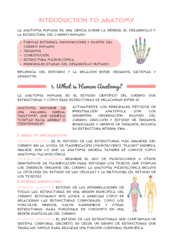 ANATOMIA-PARCIAL-1.pdf