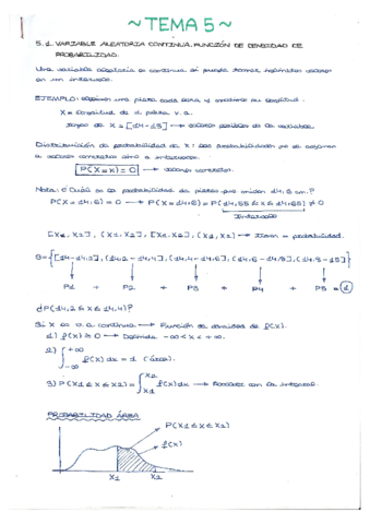 Tema 5 - Apuntes- ejercicios y seminarios..pdf