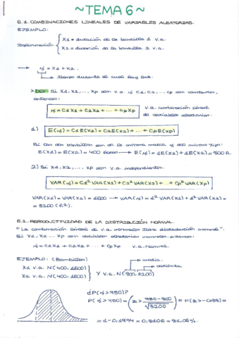 Tema 6 - Apuntes- ejercicios y seminarios..pdf