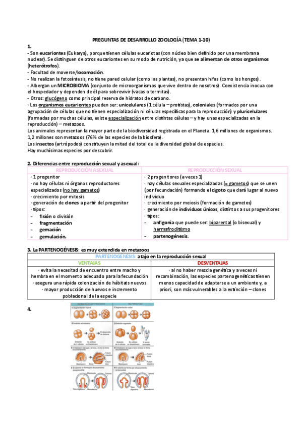 PREGUNTAS-DE-DESARROLLO-ZOOLOGIA.pdf